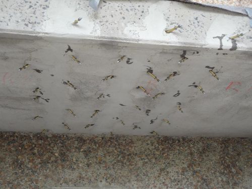 aktuelle Bauvorhaben